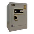 LS60F — خزنة بصمة